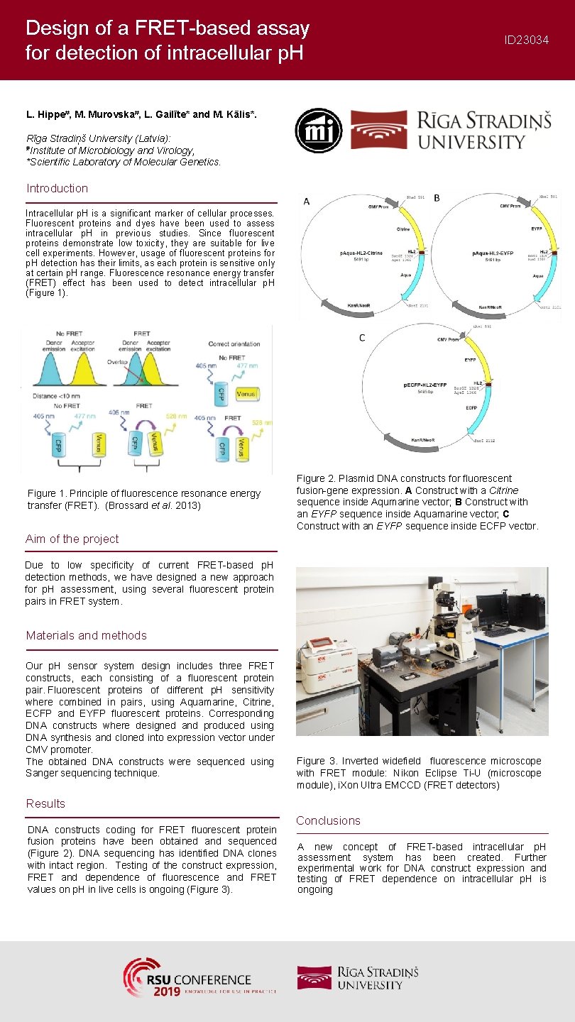 Design of a FRET-based assay for detection of intracellular p. H ID 23034 L.