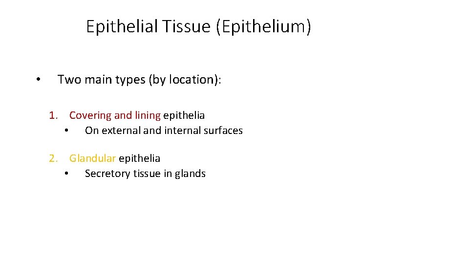 Epithelial Tissue (Epithelium) • Two main types (by location): 1. Covering and lining epithelia