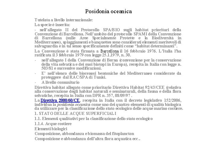 Posidonia oceanica Tutelata a livello internazionale: La specie è inserita: - nell’allegato II del