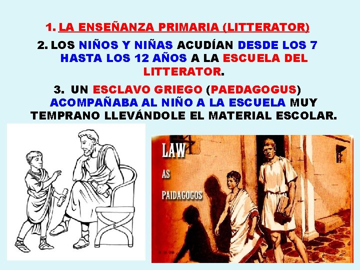 1. LA ENSEÑANZA PRIMARIA (LITTERATOR) 2. LOS NIÑOS Y NIÑAS ACUDÍAN DESDE LOS 7