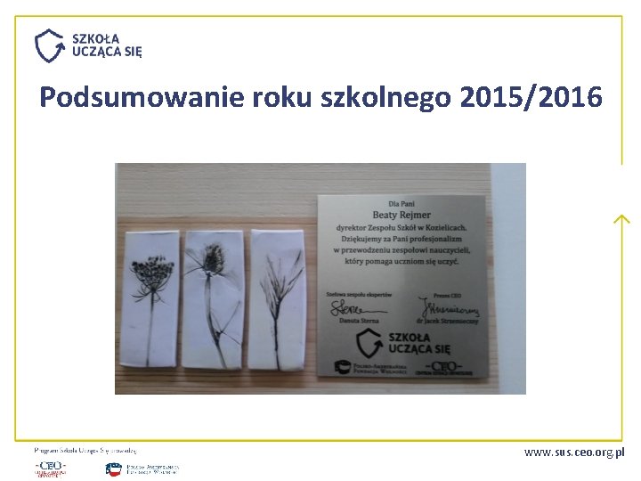 Podsumowanie roku szkolnego 2015/2016 www. sus. ceo. org. pl 