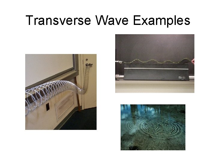 Transverse Wave Examples 
