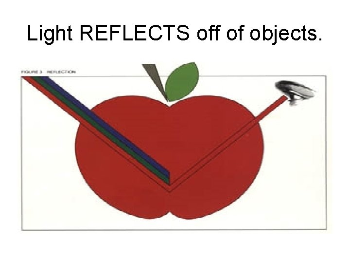 Light REFLECTS off of objects. 