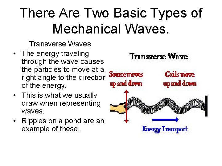 There Are Two Basic Types of Mechanical Waves. Transverse Waves • The energy traveling
