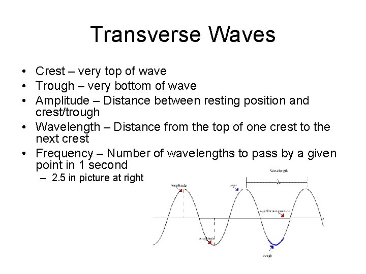 Transverse Waves • Crest – very top of wave • Trough – very bottom