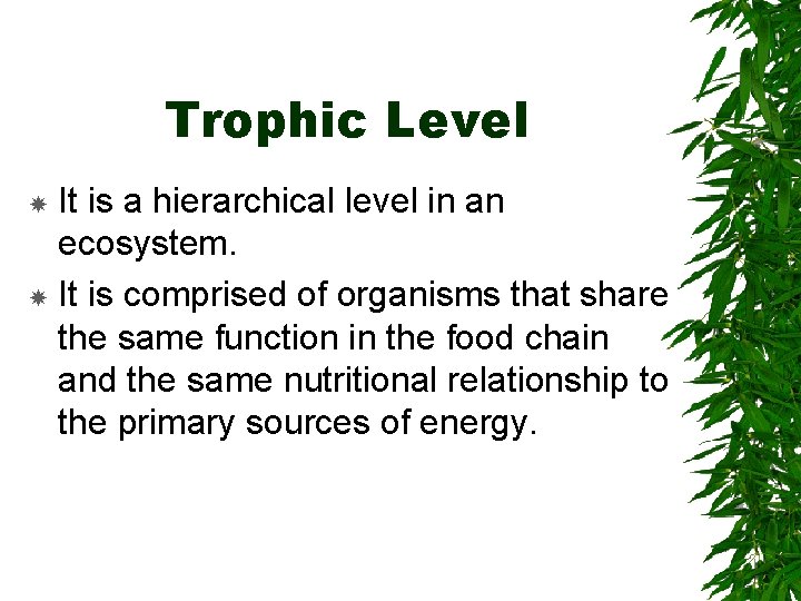 Trophic Level It is a hierarchical level in an ecosystem. It is comprised of