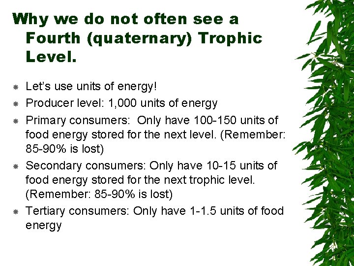 Why we do not often see a Fourth (quaternary) Trophic Level. Let’s use units