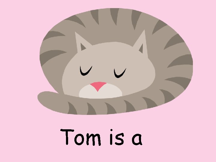 Tom is a 