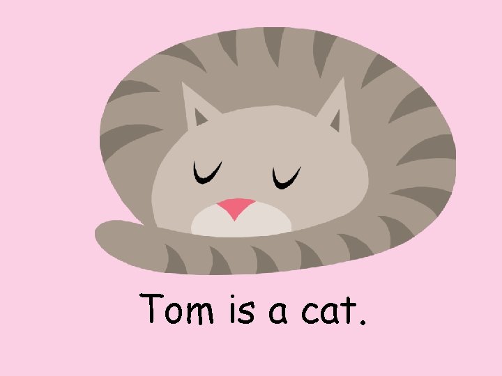 Tom is a cat. 