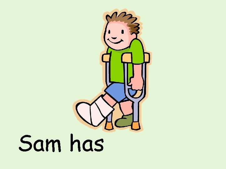 Sam has 