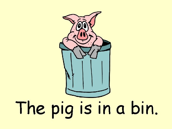 The pig is in a bin. 
