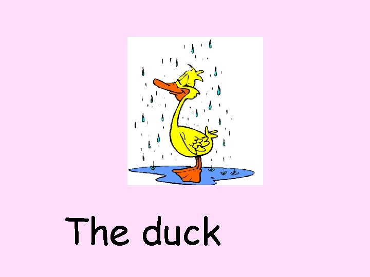 The duck 