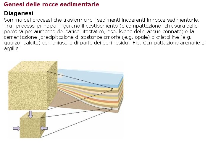 Genesi delle rocce sedimentarie Diagenesi Somma dei processi che trasformano i sedimenti incoerenti in