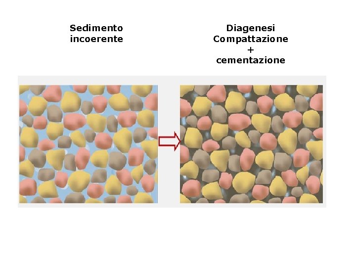 Sedimento incoerente Diagenesi Compattazione + cementazione 