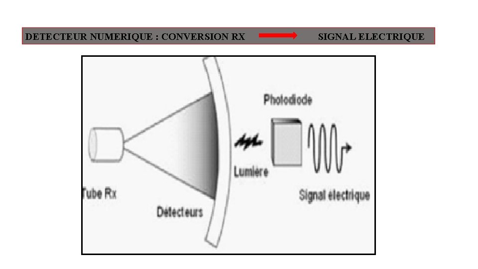 DETECTEUR NUMERIQUE : CONVERSION RX SIGNAL ELECTRIQUE 
