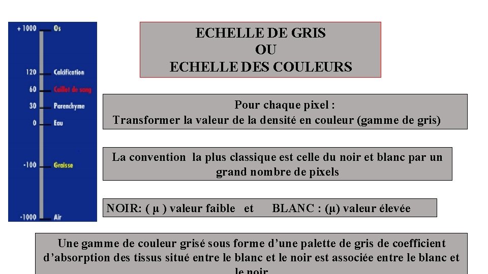 ECHELLE DE GRIS OU ECHELLE DES COULEURS Pour chaque pixel : Transformer la valeur