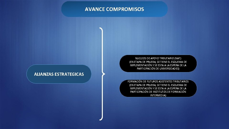 AVANCE COMPROMISOS NUCLEOS DE APOYO TRIBUTARIO (NAT) (EN ETAPA DE PRUEBA, SE TIENE EL
