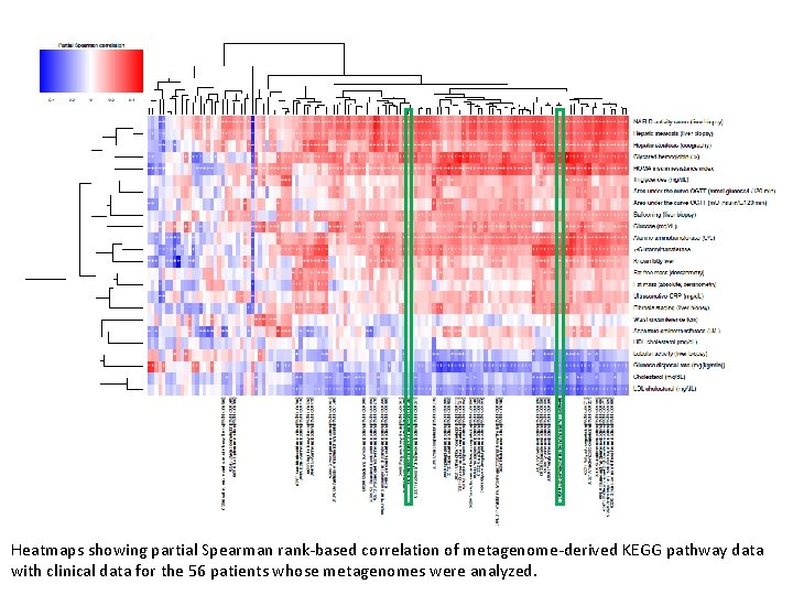 Heatmaps showing partial Spearman rank-based correlation of metagenome-derived KEGG pathway data with clinical data