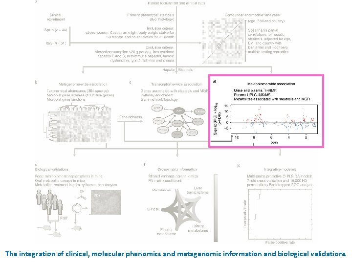 The integration of clinical, molecular phenomics and metagenomic information and biological validations 