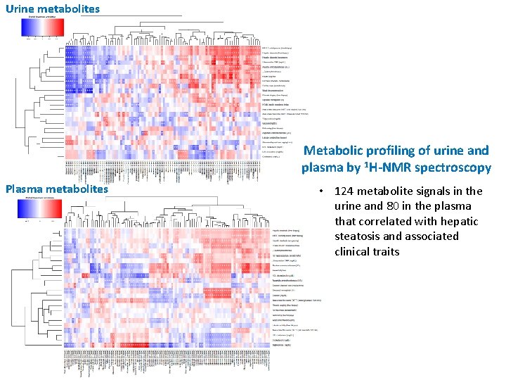 Urine metabolites Metabolic profiling of urine and plasma by 1 H-NMR spectroscopy Plasma metabolites