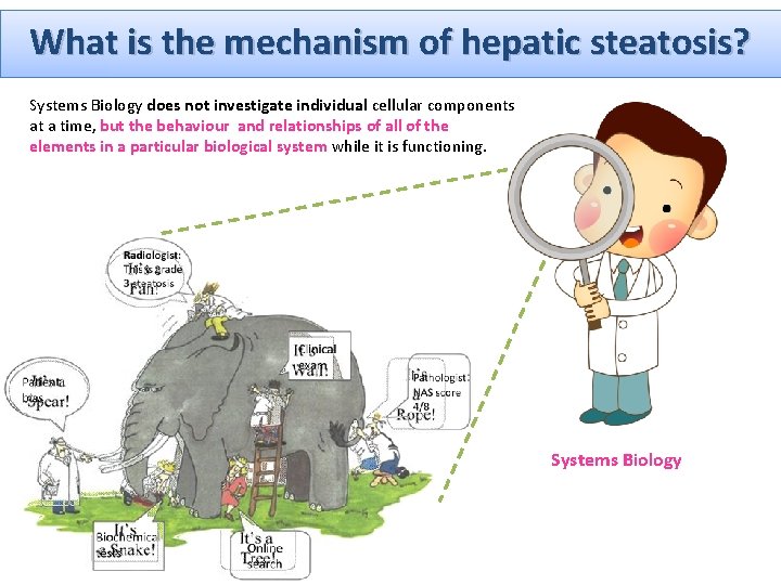 What is the mechanism of hepatic steatosis? Systems Biology does not investigate individual cellular