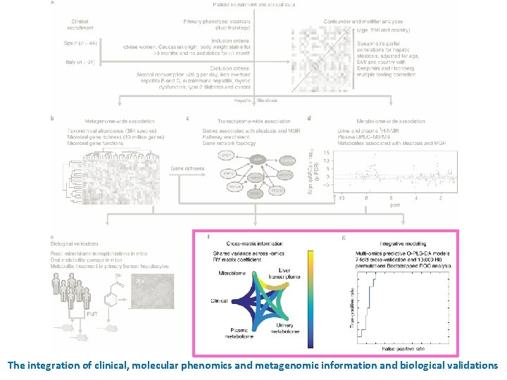 The integration of clinical, molecular phenomics and metagenomic information and biological validations 