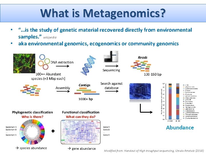 What is Metagenomics? • “…is the study of genetic material recovered directly from environmental