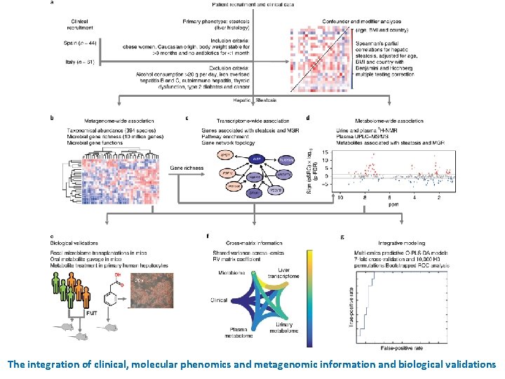 The integration of clinical, molecular phenomics and metagenomic information and biological validations 