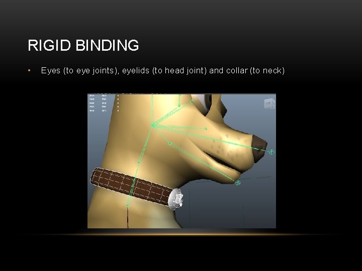 RIGID BINDING • Eyes (to eye joints), eyelids (to head joint) and collar (to