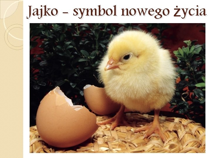 Jajko - symbol nowego życia 