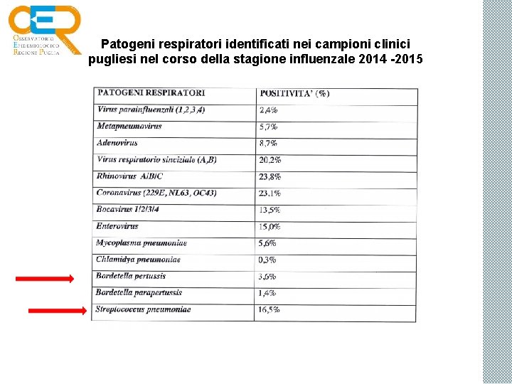 Patogeni respiratori identificati nei campioni clinici pugliesi nel corso della stagione influenzale 2014 -2015