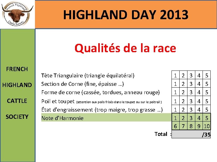 HIGHLAND DAY 2013 Qualités de la race FRENCH HIGHLAND CATTLE SOCIETY Tète Triangulaire (triangle