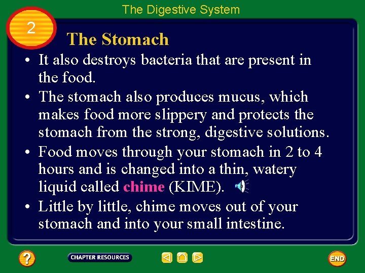 The Digestive System 2 The Stomach • It also destroys bacteria that are present