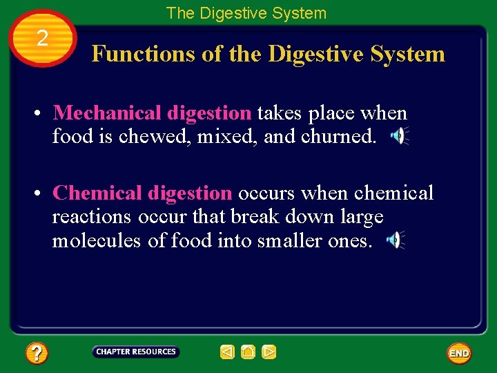 The Digestive System 2 Functions of the Digestive