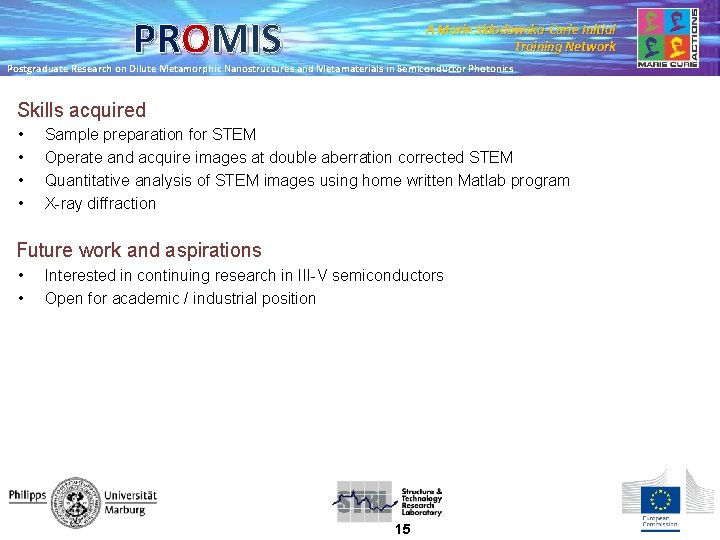 PROMIS A Marie Skłodowska-Curie Initial Training Network Postgraduate Research on Dilute Metamorphic Nanostructures and