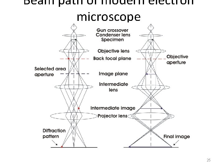 Beam path of modern electron microscope 25 