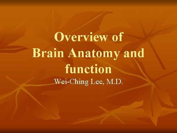 Overview of Brain Anatomy and function Wei-Ching Lee, M. D. 