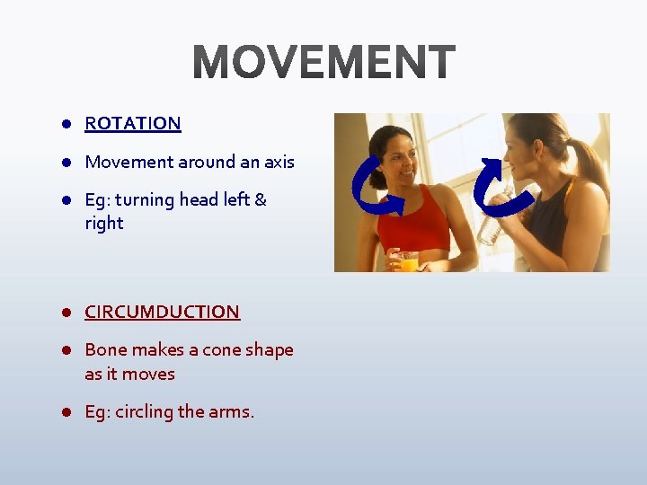 Circulator L Rotation l The skeletal system is made up of