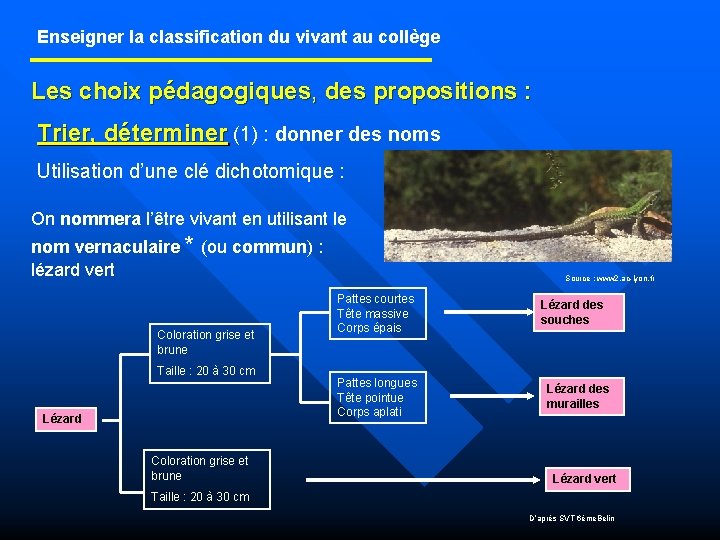 Enseigner la classification du vivant au collège Les choix pédagogiques, des propositions : Trier,