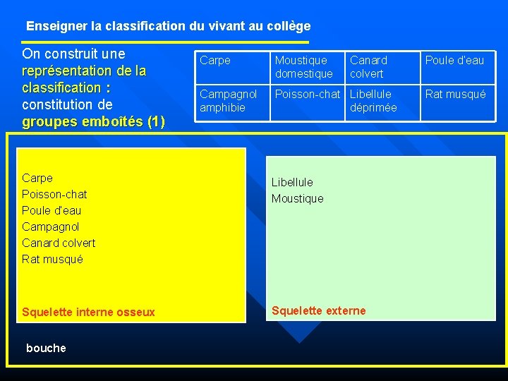 Enseigner la classification du vivant au collège On construit une représentation de la classification