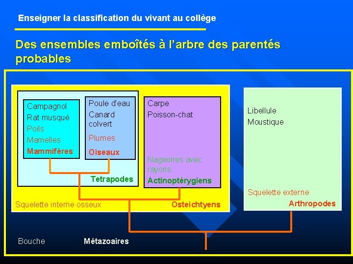 Enseigner la classification du vivant au collège Des ensembles emboîtés à l’arbre des parentés