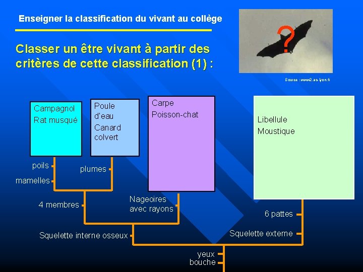 Enseigner la classification du vivant au collège Classer un être vivant à partir des