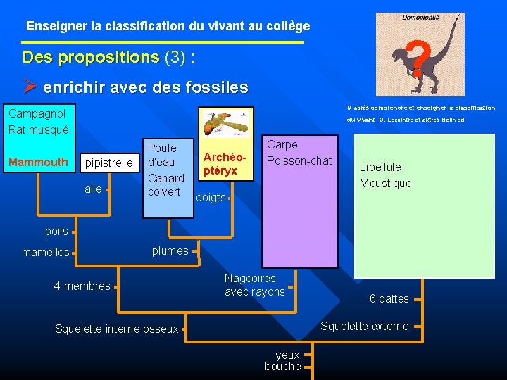 Enseigner la classification du vivant au collège ? Des propositions (3) : Ø enrichir