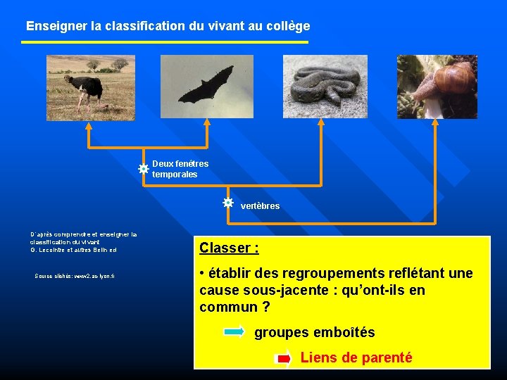 Enseigner la classification du vivant au collège Deux fenêtres temporales vertèbres D’après comprendre et