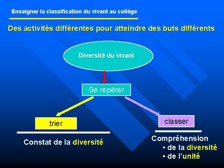 Enseigner la classification du vivant au collège Des activités différentes pour atteindre des buts