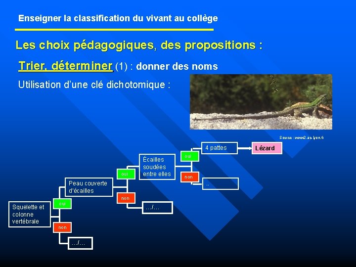 Enseigner la classification du vivant au collège Les choix pédagogiques, des propositions : Trier,