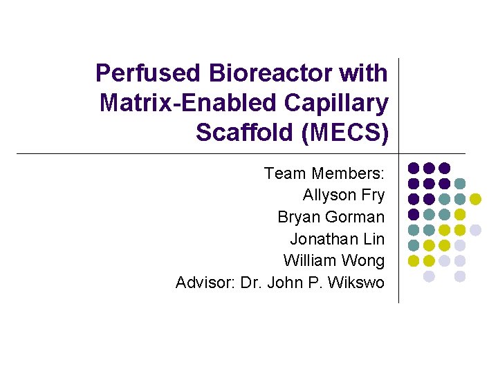 Perfused Bioreactor with Matrix-Enabled Capillary Scaffold (MECS) Team Members: Allyson Fry Bryan Gorman Jonathan