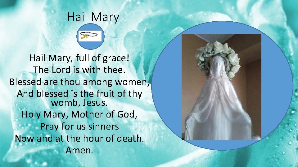 Hail Mary, full of grace! The Lord is with thee. Blessed are thou among