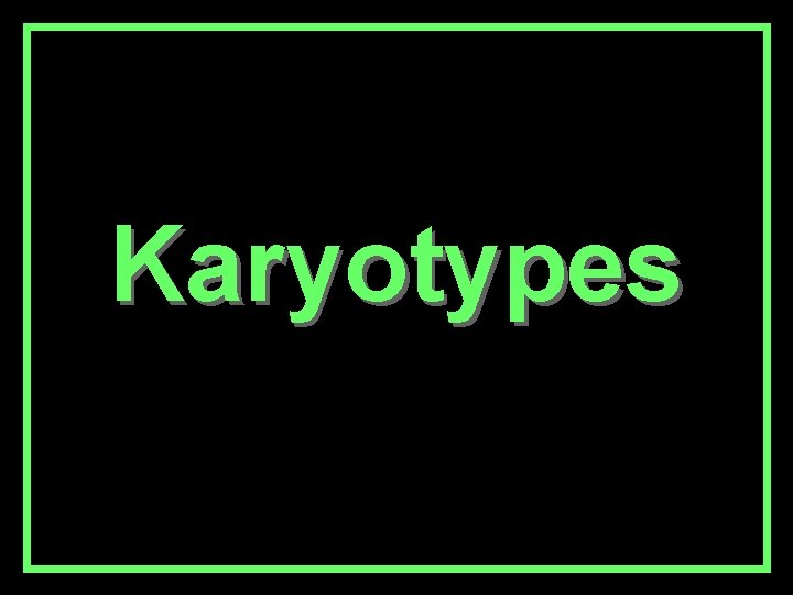 Karyotypes 