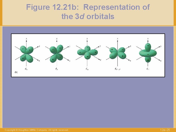 Figure 12. 21 b: Representation of the 3 d orbitals Copyright © Houghton Mifflin